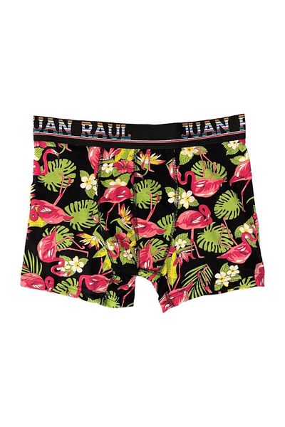 Juan Raul Tropical ανδρικό μπόξερ με σχέδιο - DB157