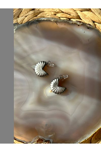 staınless steel Steel Earrings