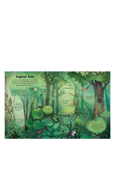 Usborne Lift the Flap - Trees