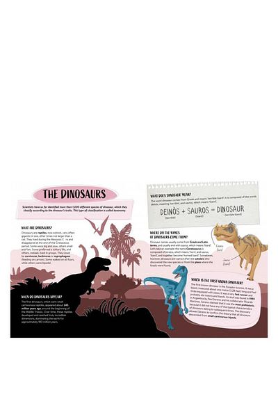 Sassi Junior What- How- Why - Dinosaurs