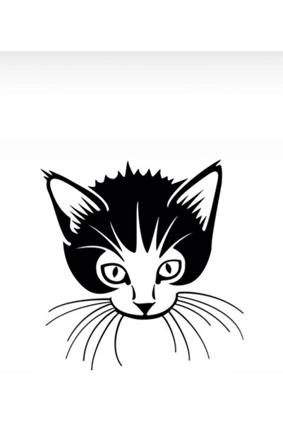 AxisPoint ملصق سيارة سينجو كات أوتو خاص جديد عالي الجودة أسود 40*40 سم