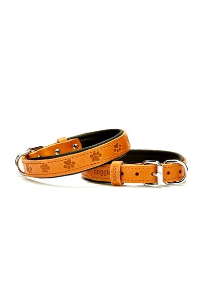 Angoravi Small Dog Collar Paw Patterned 45 cm Small
