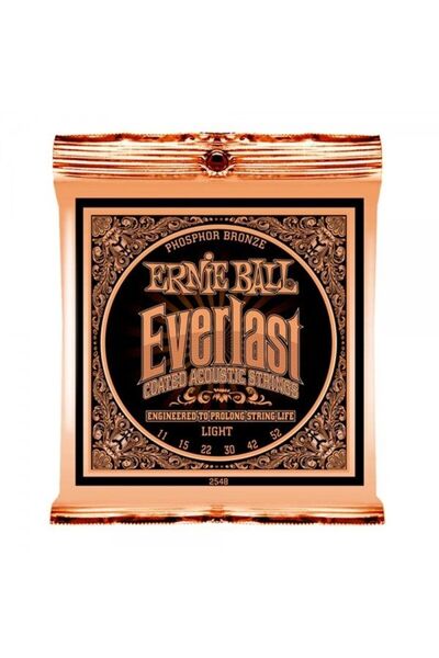 Ernie Ball P02548 Everlast Akustik Gitar Teli (Light)