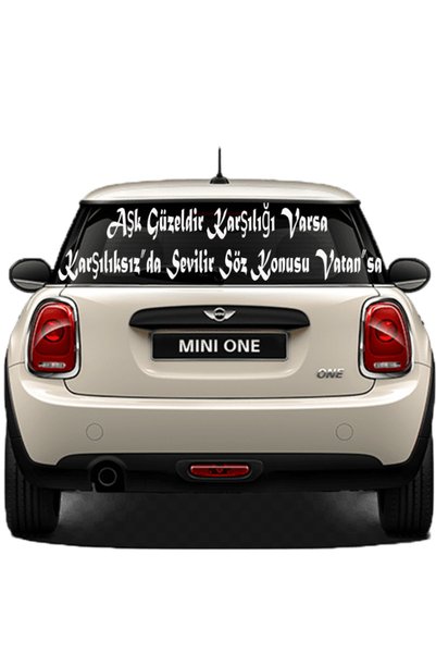 pınaxar Auto Glass Lettering Commercial-Service-Full-Panelvan Long Domestic P...