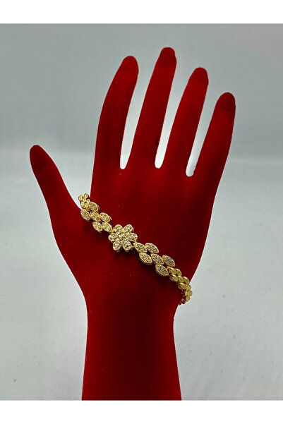 Monalisa Home سوار من الفولاذ المقاوم للتشويه