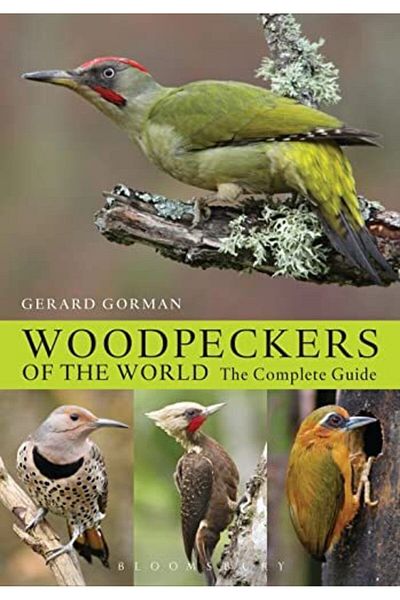 Macmillan Distribution Woodpeckers Of The World The Complete Guide