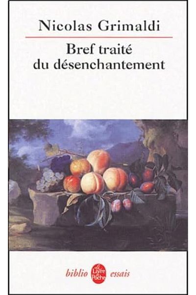 Hachette Bref Traite Du Desenchantement
