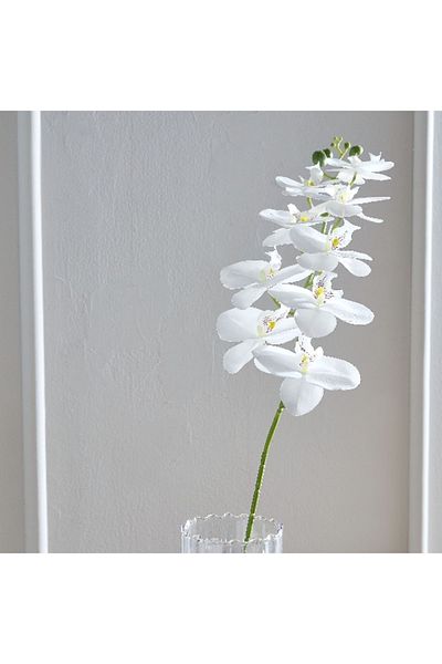 Home Box Lida Orchid 9-Heads Stem - 95 cm