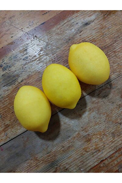 lolipophobi Yapay Meyve, Meyve Seti, Yapay Limon Meyve, Mutfak Dekor, Dekorat...