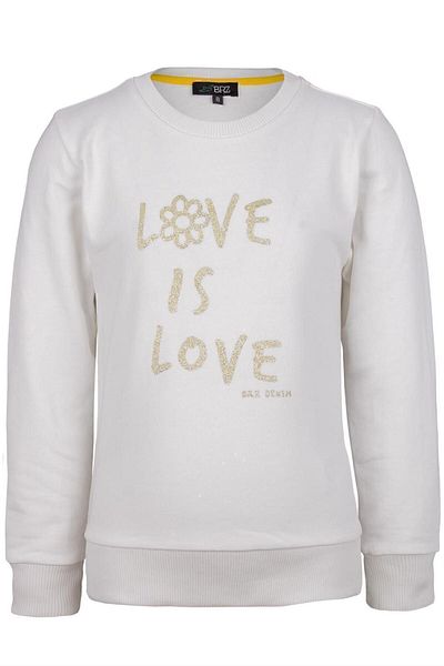 BRZ KIDS Printed Girl's Sweatshirt