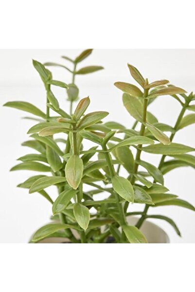 IKEA Fejka Saksılı Yapay Yeşil Bitki