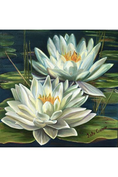 Nilüfer, Yağlıboya Resim 50x50