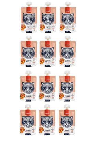 Wanpy Taze Somon & Tavuklu Kedi Et Ezmesi 90 Gr. X 12 Adet