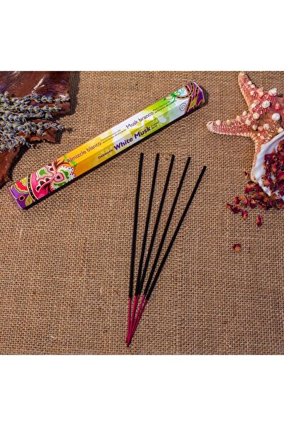 Darshan Incense Darshan hexa 20'li Çubuk Tütsü