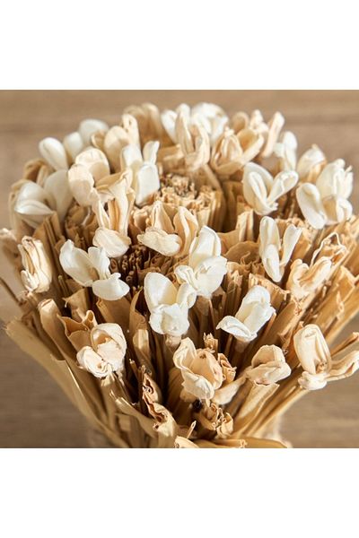 Home Box Miley Hand Tied Harvest Bunch with Sola Flower - 18 cm