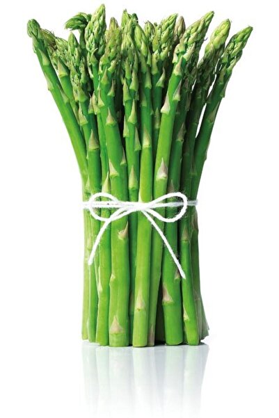 Tohum Dünyası 25 Adet Kuşkonmaz Tohumu- Mary Washington