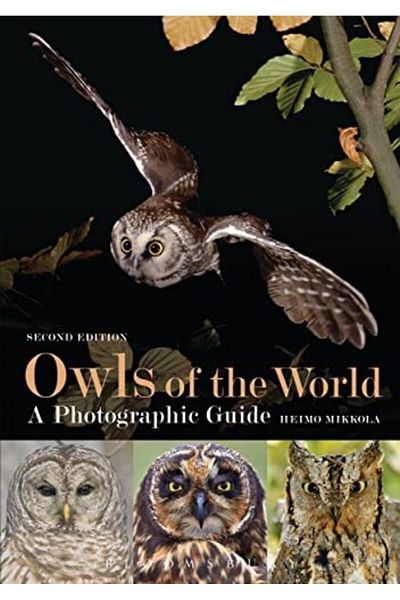 Macmillan Distribution Owls Of The World A Photographic Guide