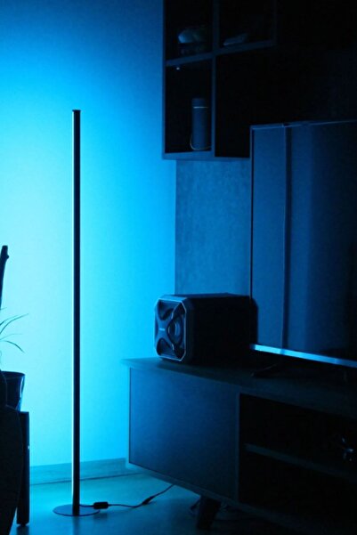 bluedıgıtal Köşe Dekoratif Lambader -led Lamba Işık Sistemi - Full Rgb 256 Renk