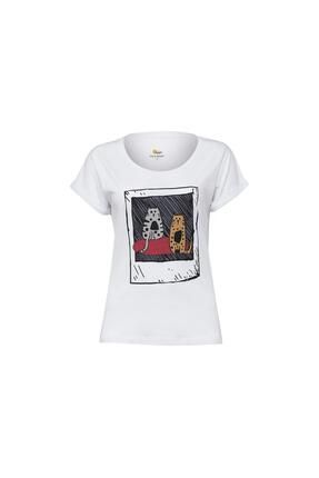 Biggdesign Kedi Foto raf T shirt Fiyat Yorumlar Trendyol