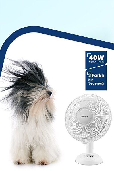 GOLDMASTER Relax 40 Watt 12 inch Bakır Motorlu 3 Farklı Hız Ayarlı Masaüstü Vantilatör
