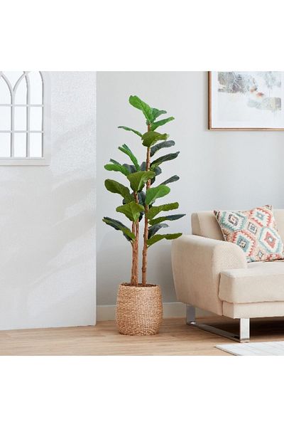 Home Box Teodora Fiddle Tree - 150 cm