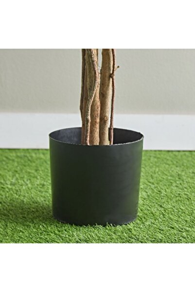 Home Box Teodora Ficus Artificial Tree - 210 cm