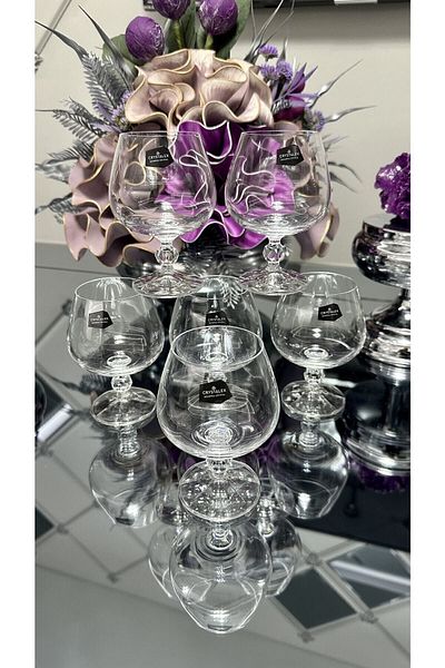 Bohemia Crystal Simple Stylish Coffee Side Water Glass
