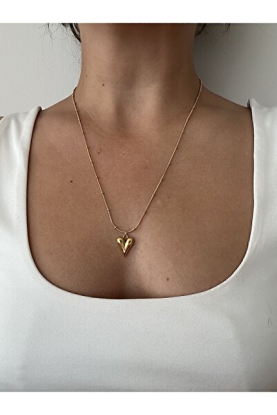 The Nest قلادة على شكل قلب من الفولاذ المقاوم للتشويه