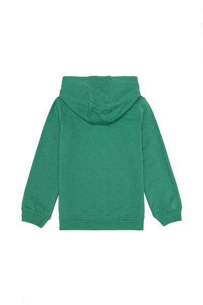 U.S. Polo Assn. Hanorac verde pentru băiat - Model de bază50266093-VR054
