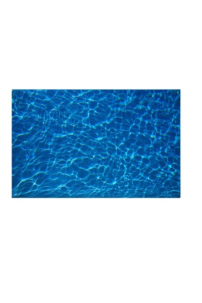 Kanki Pet KP8550004 Akvaryum Arka Fon Yapıştırma 85 x 50 CM