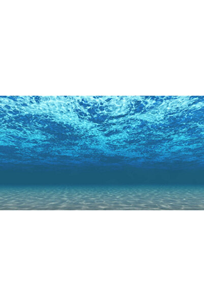 Kanki Pet KP554008 Akvaryum Arka Fon Yapıştırma 55 x 40 CM