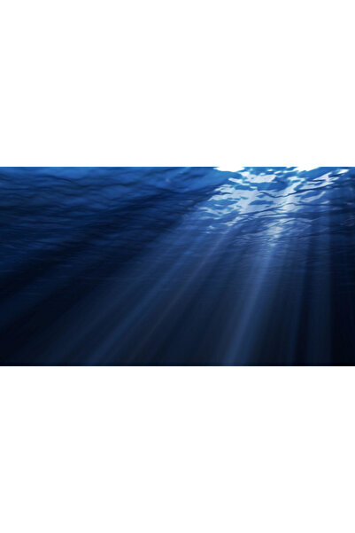 Kanki Pet KP554007 Akvaryum Arka Fon Yapıştırma 55 x 40 CM