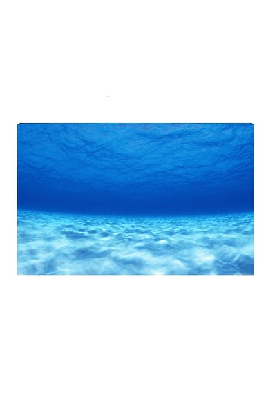 Kanki Pet KP8550003 Akvaryum Arka Fon Yapıştırma 85 x 50 CM