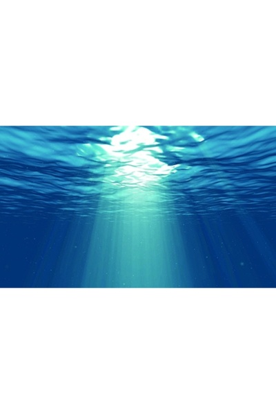 Kanki Pet KP8550029 Akvaryum Arka Fon Yapıştırma 85 x 50 CM