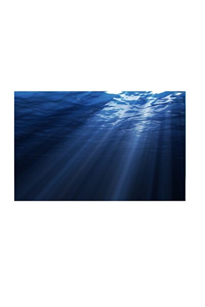 Kanki Pet KP7045007 Akvaryum Arka Fon Yapıştırma 70 x 45 CM