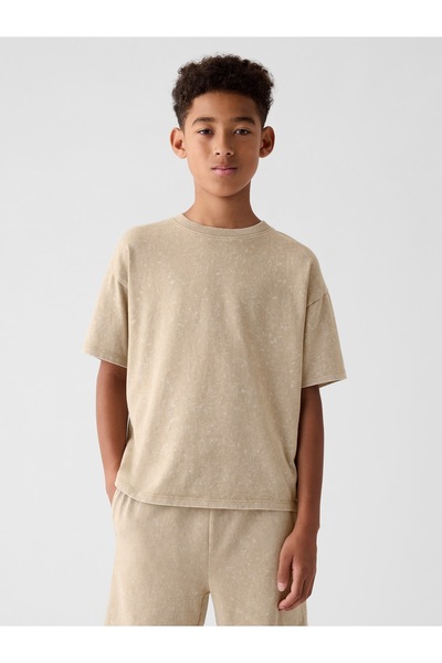 GAP Erkek Çocuk Bej Jersey T-Shirt