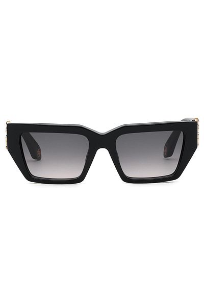 Roberto cavalli mens sunglasses 2012 new arrivals