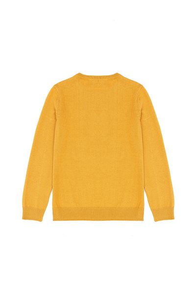 U.S. Polo Assn. Пуловер за момче в цвят горчица 50269409-VR072