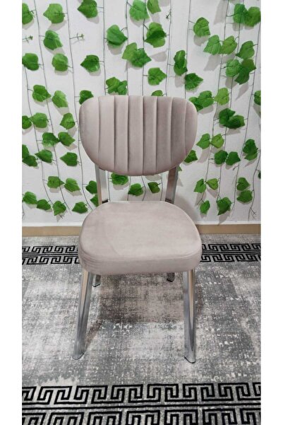 ÖZCAN METAL 2 Adet Krom Metal Ayak Elma Mutfak Salon Sandalyesi Kafe Restoran Sandalyesi Metal Demonte Sandalye