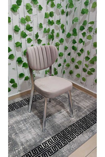 ÖZCAN METAL 2 Adet Krom Metal Ayak Elma Mutfak Salon Sandalyesi Kafe Restoran Sandalyesi Metal Demonte Sandalye