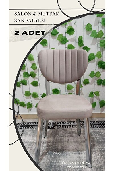 ÖZCAN METAL 2 Adet Krom Metal Ayak Elma Mutfak Salon Sandalyesi Kafe Restoran Sandalyesi Metal Demonte Sandalye