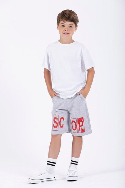 zepkids Boy's Gray Red Scop Printed Capri