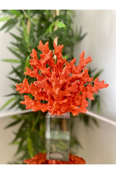 Sillage Home Kristal Kaideli Mercan,dekoratif Aksesuar,kristalli Mecan ,lüks ...