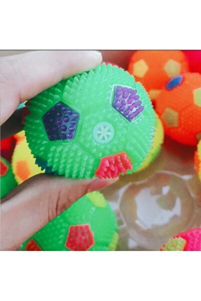 Dalian Home Kedi -köpek Düdüklü Işıklı Oyun Topu Renkli Işıklı Top Köpek Oyun Topu