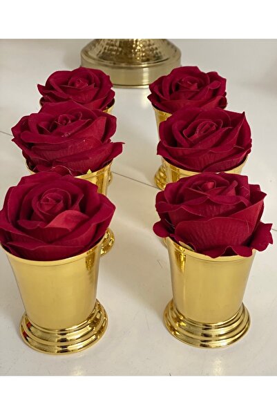 Elzemm store GOLD COATED 6-PIECE ROSE BUCKET RED VELVET ROSES INCLUDED