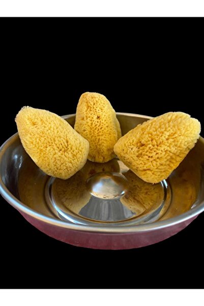 ASLANCAN deniz süngeri 3 lü (küçük boy)