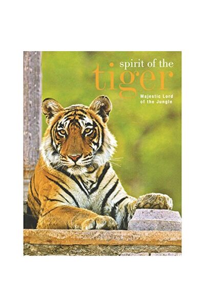 Parragon روح النمر