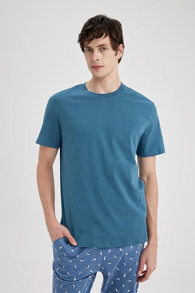 DeFacto 100 % Baumwolle, neues Basic-T-Shirt mit normaler Passform und Rundhalsausschnitt, einfarbig, kurzärmelig, V7699az24sp