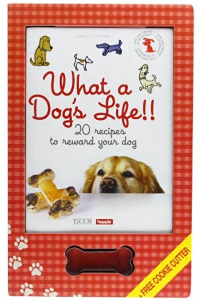 Tectum ما أجمل حياة الكلاب: 20 وصفة لمكافأة كلبك