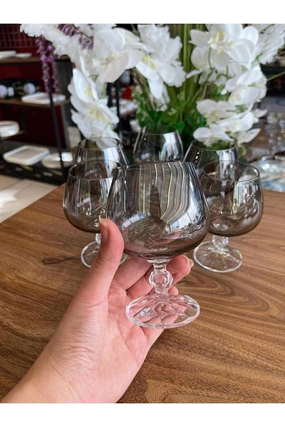 Bohemia OKYAY HOME BOHEMIA CRYSTAL BOHEMIA 6 LI 250 CC CRYSTAL COFFEE SIDE WATER GLASS SMOKED